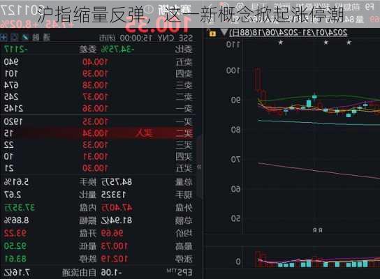 沪指缩量反弹，这一新概念掀起涨停潮