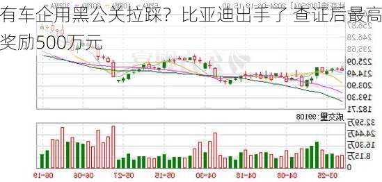 有车企用黑公关拉踩？比亚迪出手了 查证后最高奖励500万元