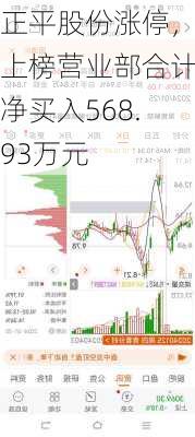 正平股份涨停，上榜营业部合计净买入568.93万元