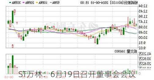 ST万林：6月19日召开董事会会议