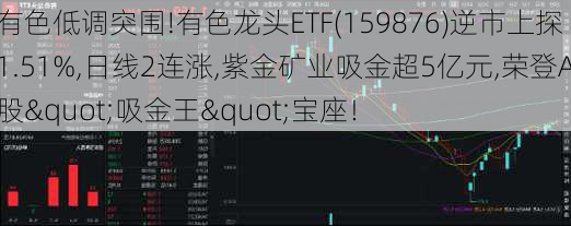 有色低调突围!有色龙头ETF(159876)逆市上探1.51%,日线2连涨,紫金矿业吸金超5亿元,荣登A股