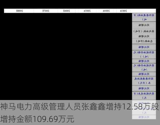 神马电力高级管理人员张鑫鑫增持12.58万股，增持金额109.69万元