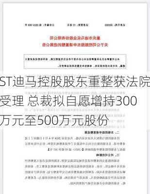 ST迪马控股股东重整获法院受理 总裁拟自愿增持300万元至500万元股份