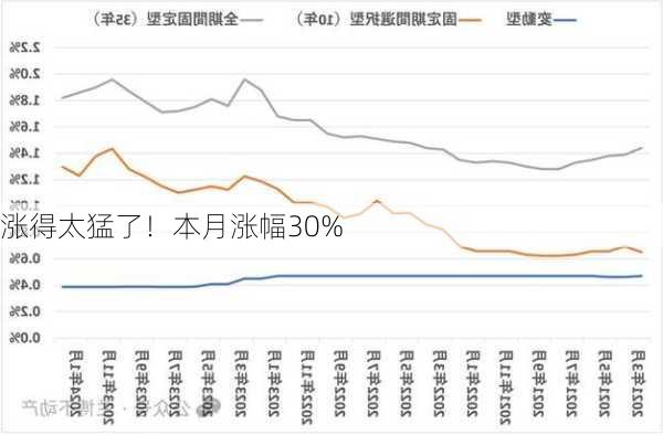 涨得太猛了！本月涨幅30%