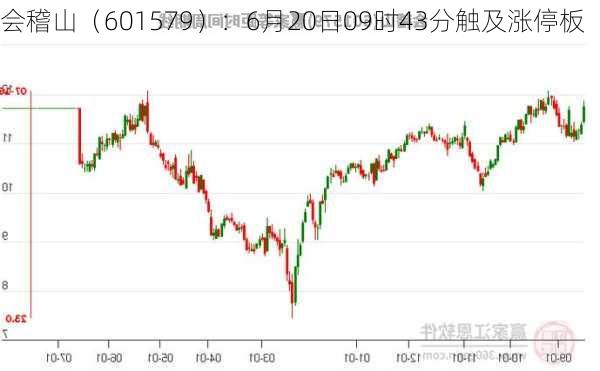 会稽山（601579）：6月20日09时43分触及涨停板