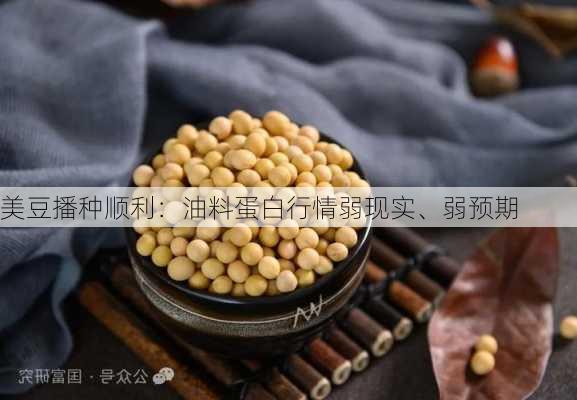 美豆播种顺利：油料蛋白行情弱现实、弱预期