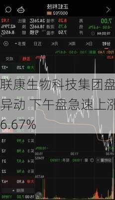 联康生物科技集团盘中异动 下午盘急速上涨6.67%