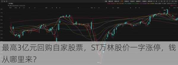 最高3亿元回购自家股票，ST万林股价一字涨停，钱从哪里来？