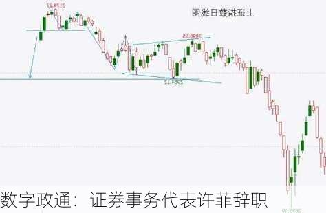 数字政通：证券事务代表许菲辞职