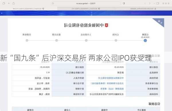 新“国九条”后沪深交易所 两家公司IPO获受理