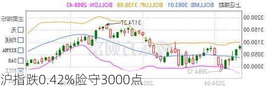 沪指跌0.42%险守3000点