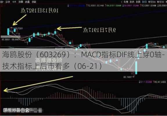 海鸥股份（603269）：MACD指标DIF线上穿0轴-技术指标上后市看多（06-21）