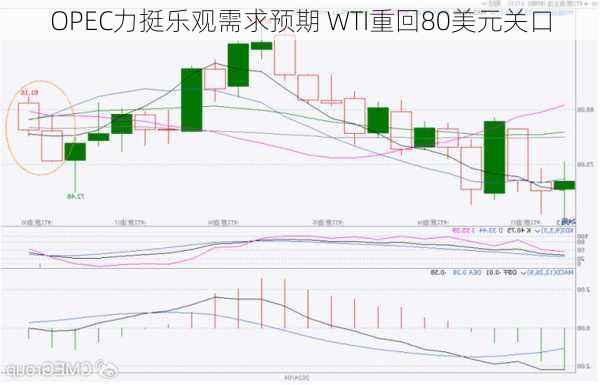 OPEC力挺乐观需求预期 WTI重回80美元关口