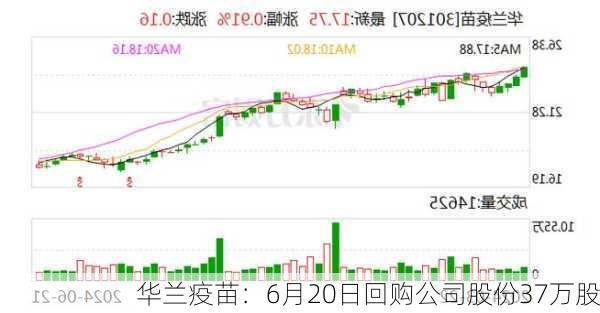 华兰疫苗：6月20日回购公司股份37万股