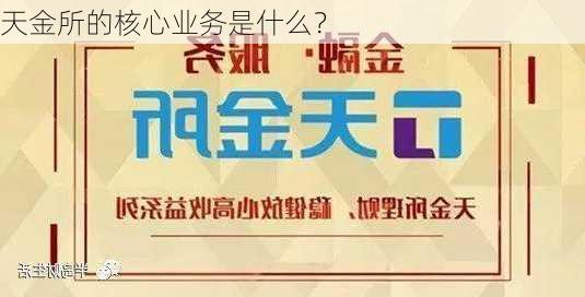 天金所的核心业务是什么？