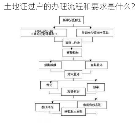 土地证过户的办理流程和要求是什么？