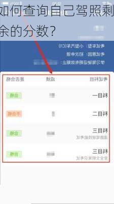 如何查询自己驾照剩余的分数？