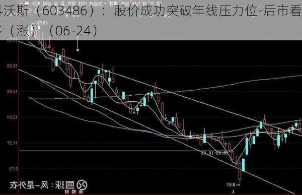 科沃斯（603486）：股价成功突破年线压力位-后市看多（涨）（06-24）