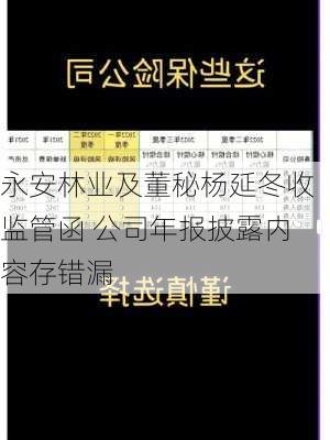 永安林业及董秘杨延冬收监管函 公司年报披露内容存错漏