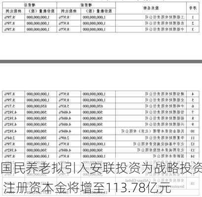 国民养老拟引入安联投资为战略投资人 注册资本金将增至113.78亿元