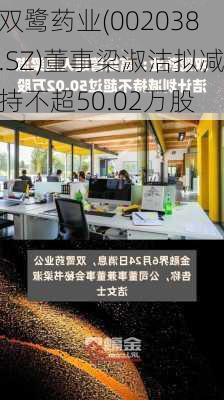 双鹭药业(002038.SZ)董事梁淑洁拟减持不超50.02万股