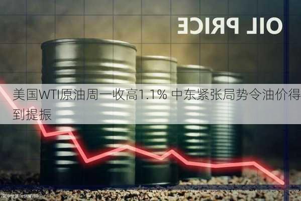 美国WTI原油周一收高1.1% 中东紧张局势令油价得到提振