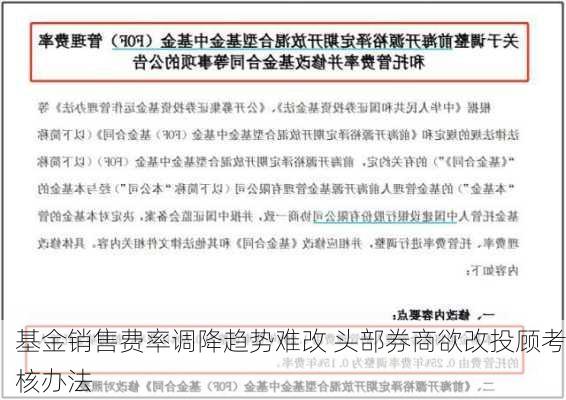 基金销售费率调降趋势难改 头部券商欲改投顾考核办法