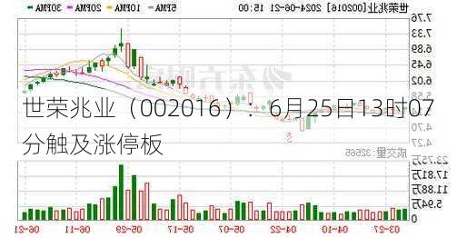 世荣兆业（002016）：6月25日13时07分触及涨停板