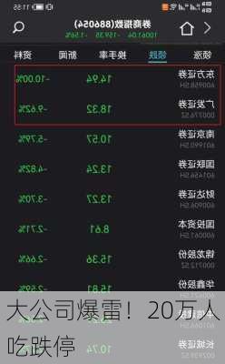 大公司爆雷！20万人吃跌停