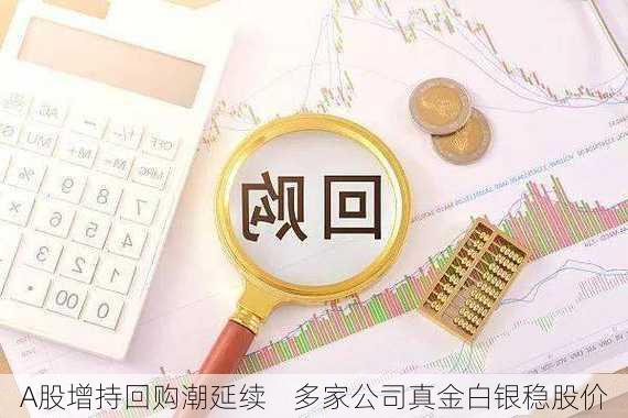 A股增持回购潮延续    多家公司真金白银稳股价