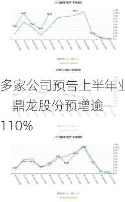 多家公司预告上半年业绩    鼎龙股份预增逾110%