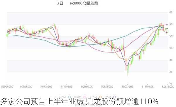 多家公司预告上半年业绩 鼎龙股份预增逾110%