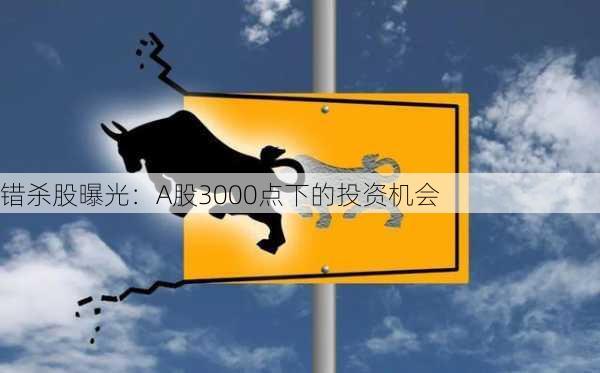 错杀股曝光：A股3000点下的投资机会