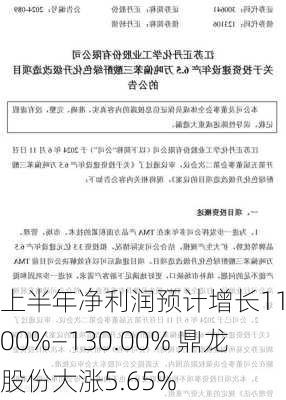 上半年净利润预计增长110.00%—130.00% 鼎龙股份大涨5.65%