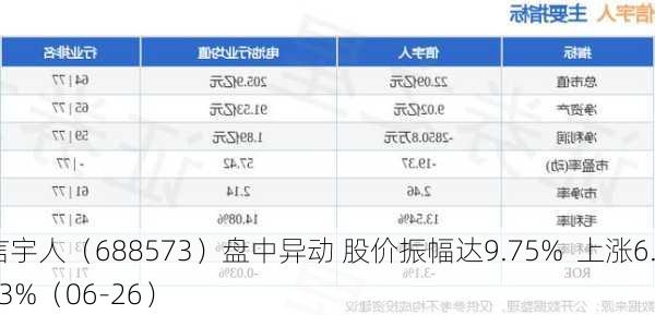 信宇人（688573）盘中异动 股价振幅达9.75%  上涨6.23%（06-26）