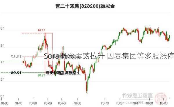 Sora概念震荡拉升 因赛集团等多股涨停