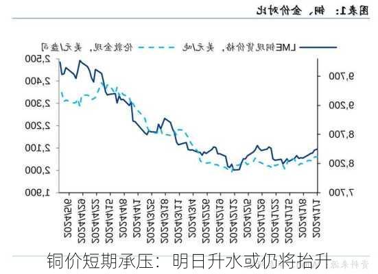 铜价短期承压：明日升水或仍将抬升