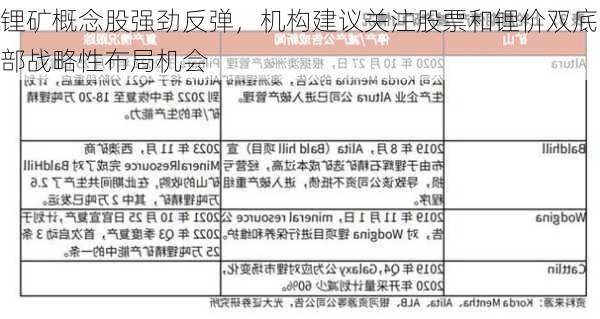 锂矿概念股强劲反弹，机构建议关注股票和锂价双底部战略性布局机会