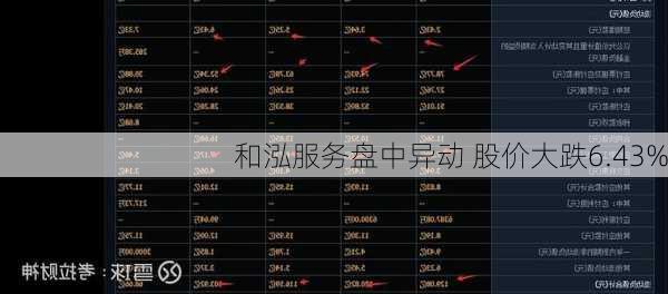 和泓服务盘中异动 股价大跌6.43%