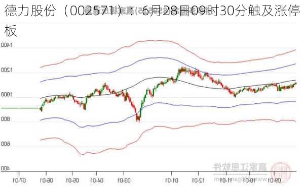 德力股份（002571）：6月28日09时30分触及涨停板