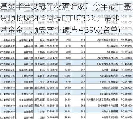 基金半年度冠军花落谁家？今年最牛基金景顺长城纳指科技ETF赚33%，最熊基金金元顺安产业臻选亏39%(名单)