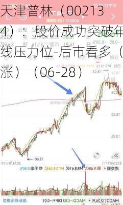 天津普林（002134）：股价成功突破年线压力位-后市看多（涨）（06-28）