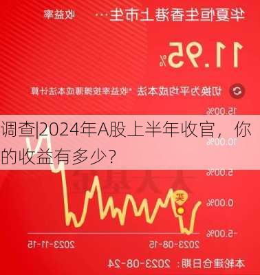 调查|2024年A股上半年收官，你的收益有多少？