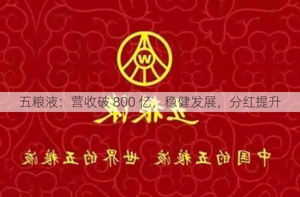 五粮液：营收破 800 亿，稳健发展，分红提升