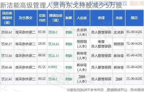 新洁能高级管理人员肖东戈持股减少5万股