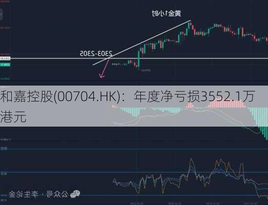 和嘉控股(00704.HK)：年度净亏损3552.1万港元