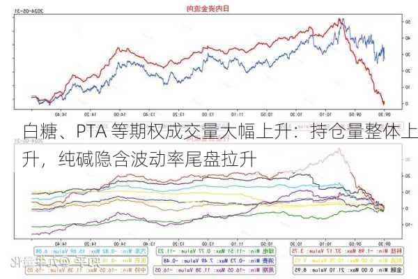 白糖、PTA 等期权成交量大幅上升：持仓量整体上升，纯碱隐含波动率尾盘拉升