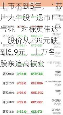 上市不到5年，“芯片大牛股”退市！曾号称“对标英伟达”，股价从299元跌到6.9元，上万名股东追高被套