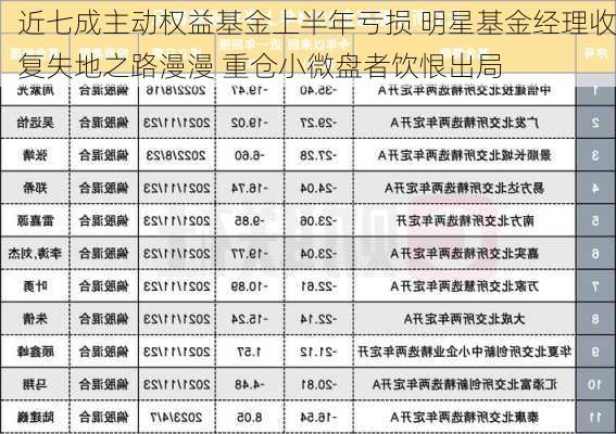 近七成主动权益基金上半年亏损 明星基金经理收复失地之路漫漫 重仓小微盘者饮恨出局