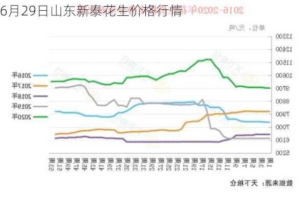 6月29日山东新泰花生价格行情